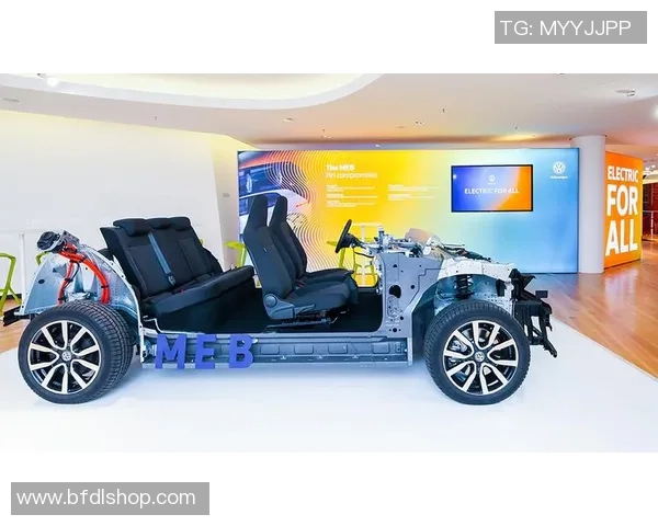 重庆乒乓球队转型之路的挑战与机遇全面解析